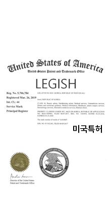 LEGISH 미국특허