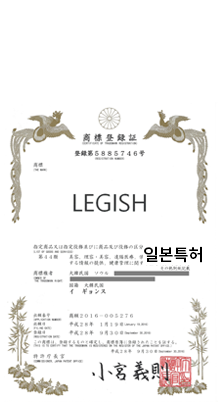 LEGISH 일본특허